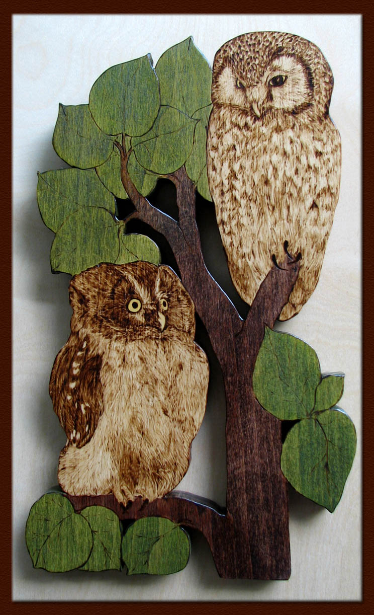 boreal owl tanja sova pyrography